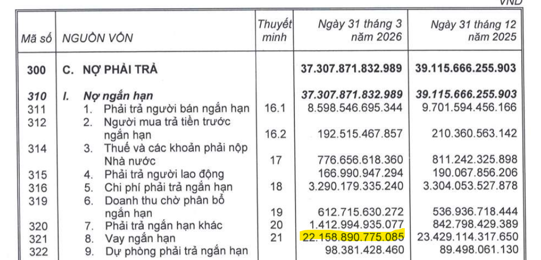BCTC Điện Máy Xanh Q1 2026
