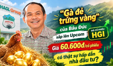 HGI của Bầu Đức sắp lên Upcom: Giá 60.600đ/cổ phiếu có thật sự hấp dẫn nhà đầu tư?