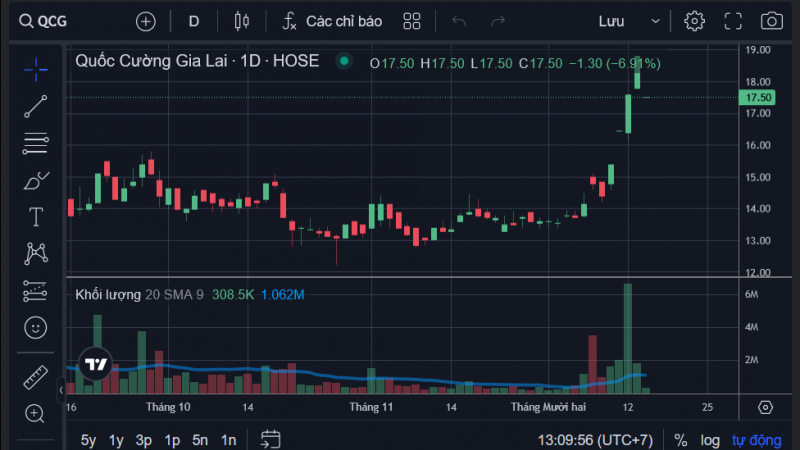 Cổ phiếu QGC "đo sàn" sau thông tin cựu Chủ tịch bị đề nghị khởi tố