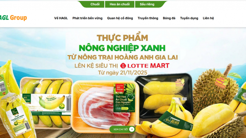 Hoàng Anh Gia Lai của bầu Đức bất ngờ trở về logo cũ sau hơn  1 năm
