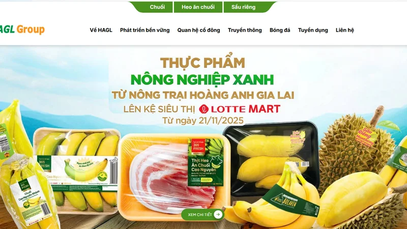 Hoàng Anh Gia Lai của bầu Đức bất ngờ trở về logo cũ sau hơn  1 năm