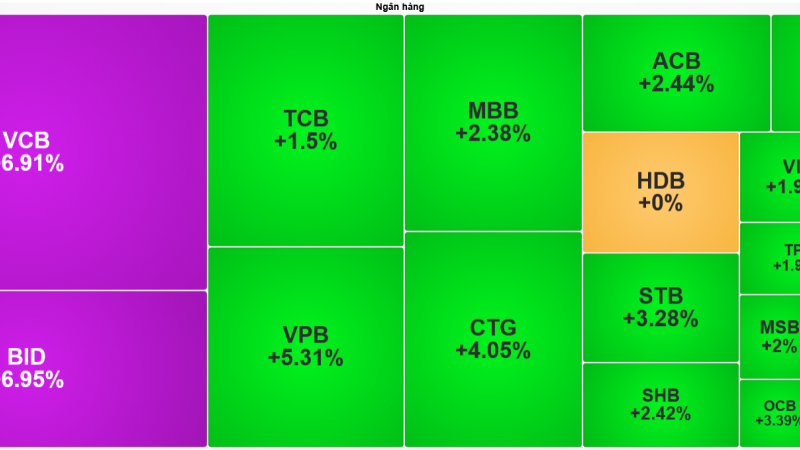 Loạt cổ phiếu ngân hàng đua xanh tím: SÓNG VUA ĐÃ THỨC GIẤC?