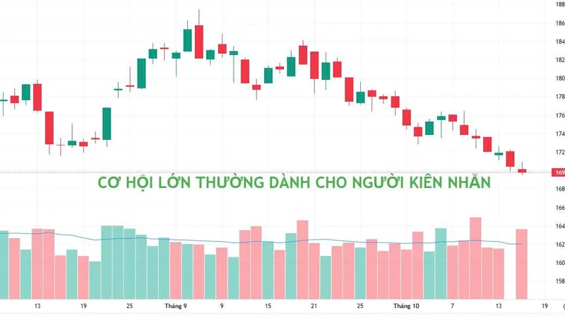 VN-INDEX GIẢM VỀ 1698 ĐIỂM, NHÀ ĐẦU TƯ NÊN LÀM GÌ?