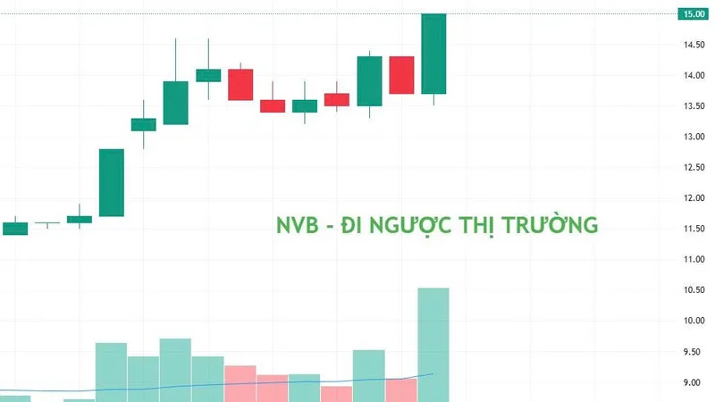 NVB – Đi ngược thị trường, tiếp tục nằm trong “Danh sách đặc biệt theo dõi 2026–2028”