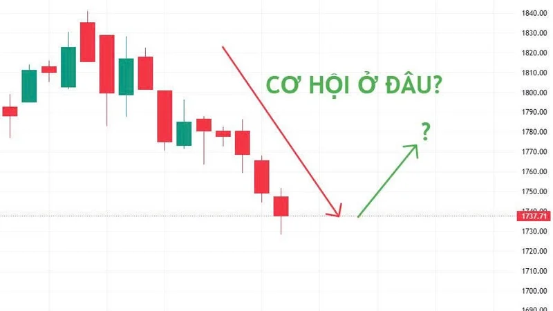 VN - INDEX ĐÃ GIẢM GẦN 100 ĐIỂM SAU 2 TUẦN: CƠ HỘI ĐANG Ở ĐÂU?