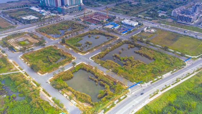 TP.HCM chuẩn bị đấu giá 50 khu đất: Lô “đất vàng” Tân Hoàng Minh từng bỏ cọc ở Thủ Thiêm chính thức lên sàn trở lại