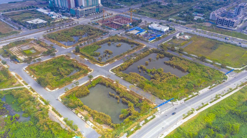 TP.HCM chuẩn bị đấu giá 50 khu đất: Lô “đất vàng” Tân Hoàng Minh từng bỏ cọc ở Thủ Thiêm chính thức lên sàn trở lại