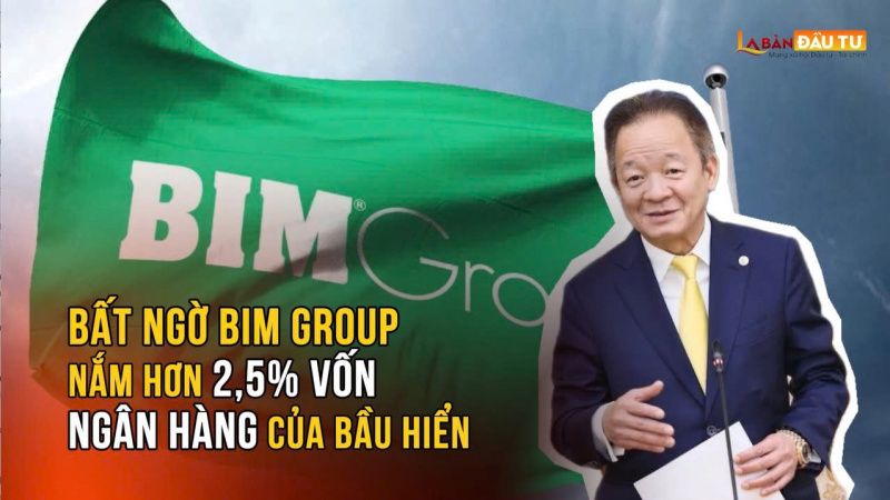 Bất Ngờ: Bim Group Nắm Hơn 2,5% Vốn Ngân Hàng Của Bầu Hiển