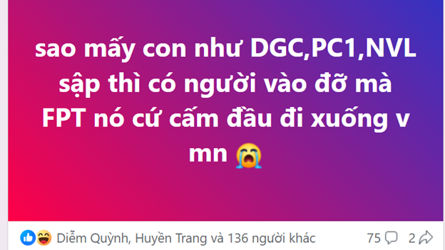 DGC, PC1, NVL…. “được đỡ”, ai sẽ "cứu" FPT?