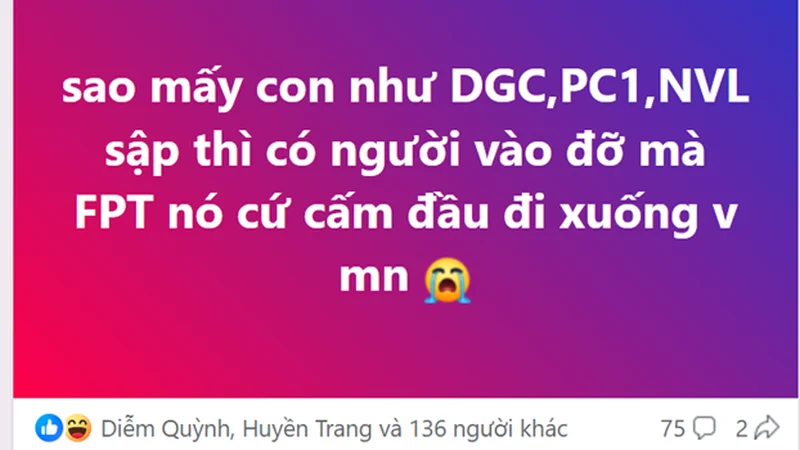 DGC, PC1, NVL…. “được đỡ”, ai sẽ "cứu" FPT?