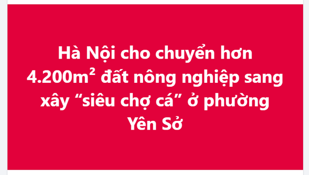 Hà Nội cho chuyển hơn 4.200m² đất nông nghiệp sang xây “siêu chợ cá” ở phường Yên Sở
