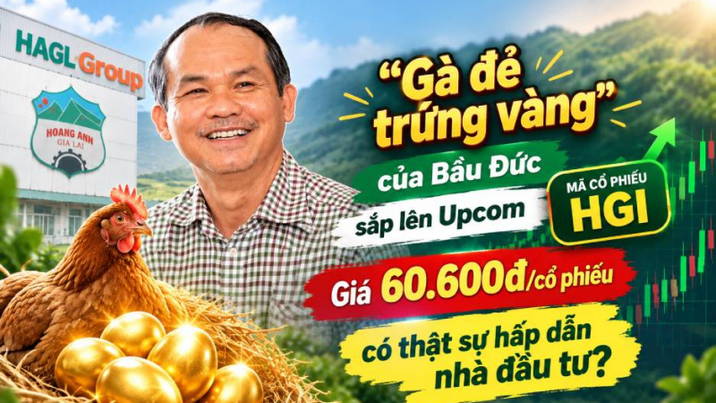 HGI của Bầu Đức sắp lên Upcom: Giá 60.600đ/cổ phiếu có thật sự hấp dẫn nhà đầu tư?