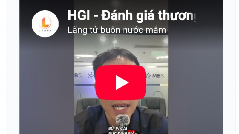 HGI của Bầu Đức sắp lên Upcom, giá 60.600đ/cổ phiếu: Đắt hay rẻ?