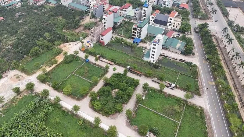Đất đấu giá Ô Diên (Hà Nội) lại nóng: Vừa rời sàn đã được rao bán chênh tới 300 triệu