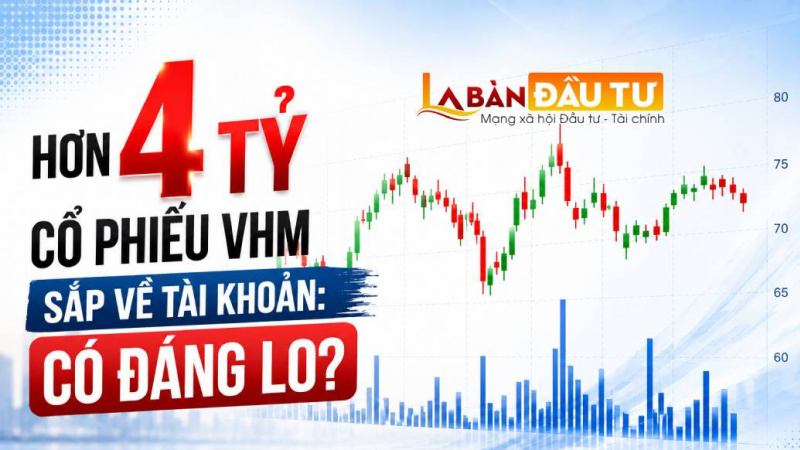Hơn 4 tỷ cổ phiếu VHM sắp về tài khoản: Có đáng lo?