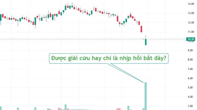 NVL BÙNG NỔ THANH KHOẢN: ĐƯỢC "GIẢI CỨU" HAY CHỈ LÀ NHỊP HỒI BẮT ĐÁY?