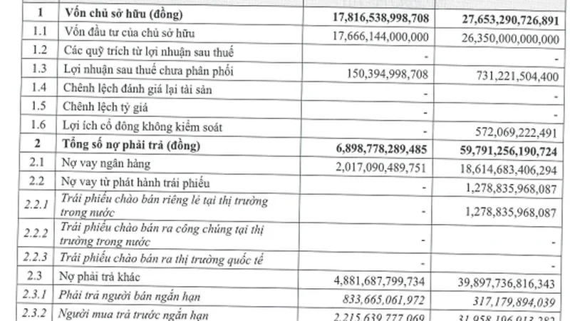 “Ông chủ” Sun World Hạ Long báo lãi lớn nhưng nợ mới là thứ đáng chú ý